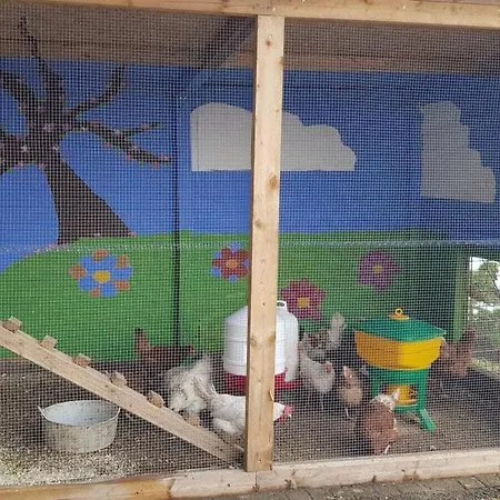 One-bedroom エスローエ