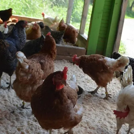 One-bedroom Cobbenrode