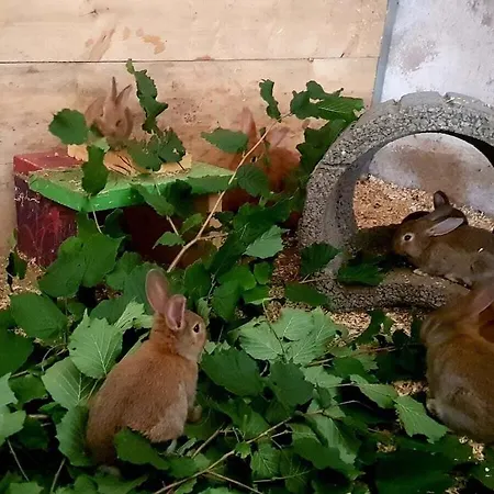 One-bedroom * エスローエ