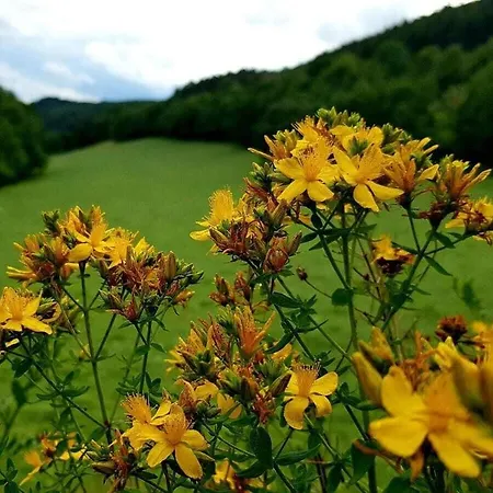 Ferienhaus One-bedroom
