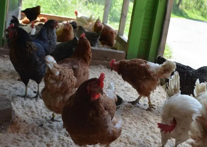 One-bedroom エスローエ