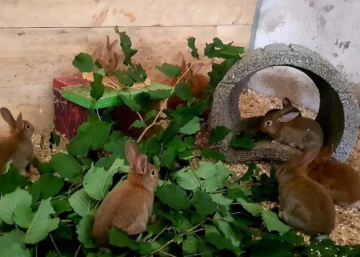 One-bedroom * エスローエ