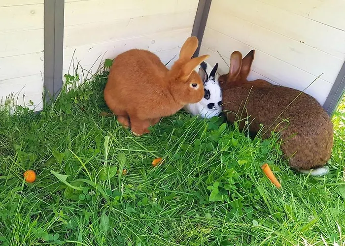 One-bedroom エスローエ